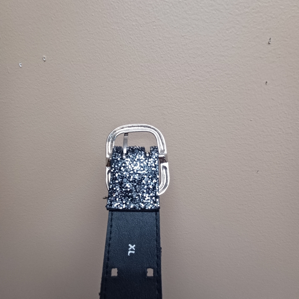 Sparkly Black Belt with Silver Buckle - XL - Picture 2 of 9